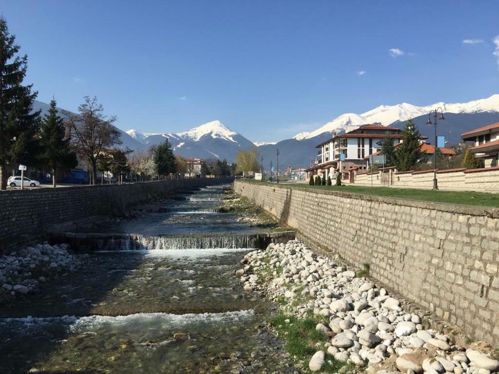 Cedar Lodge 3/4 Apartment Paradise Bansko Exterior foto